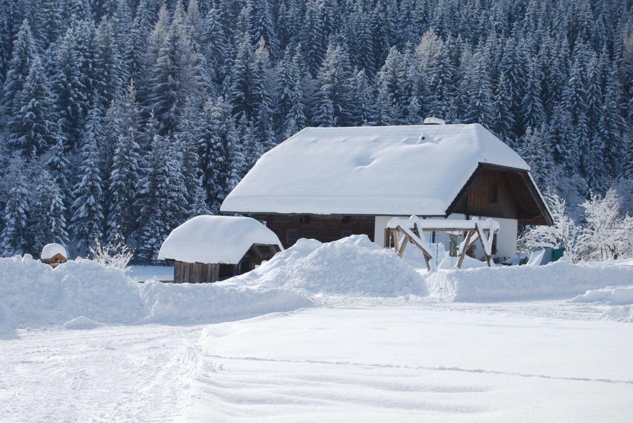 Ferienhaus Gobald Murau Extérieur photo